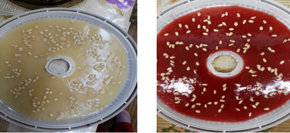 Чурчхела в домашних условиях